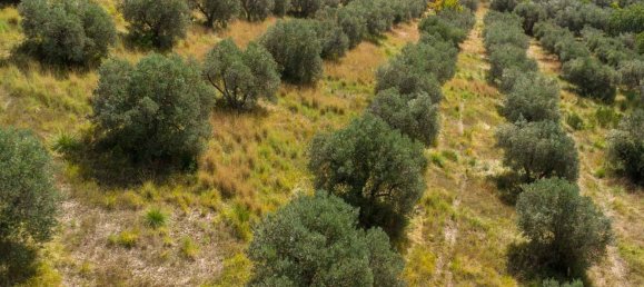 Terreno em Poggio Nativo, Italy N.º 362815 8