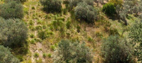 Terreno em Poggio Nativo, Italy N.º 362815 9