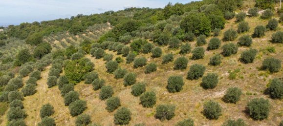 Terreno em Poggio Nativo, Italy N.º 362815 3