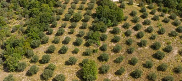 Terreno em Poggio Nativo, Italy N.º 362815 2