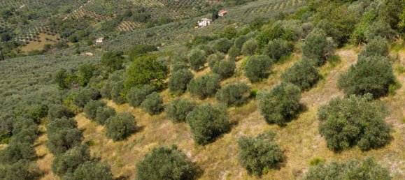 Terreno em Poggio Nativo, Italy N.º 362815 4