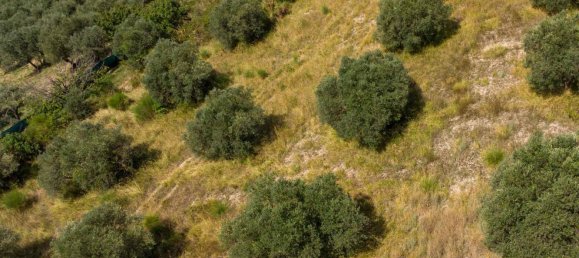 Terreno em Poggio Nativo, Italy N.º 362815 6