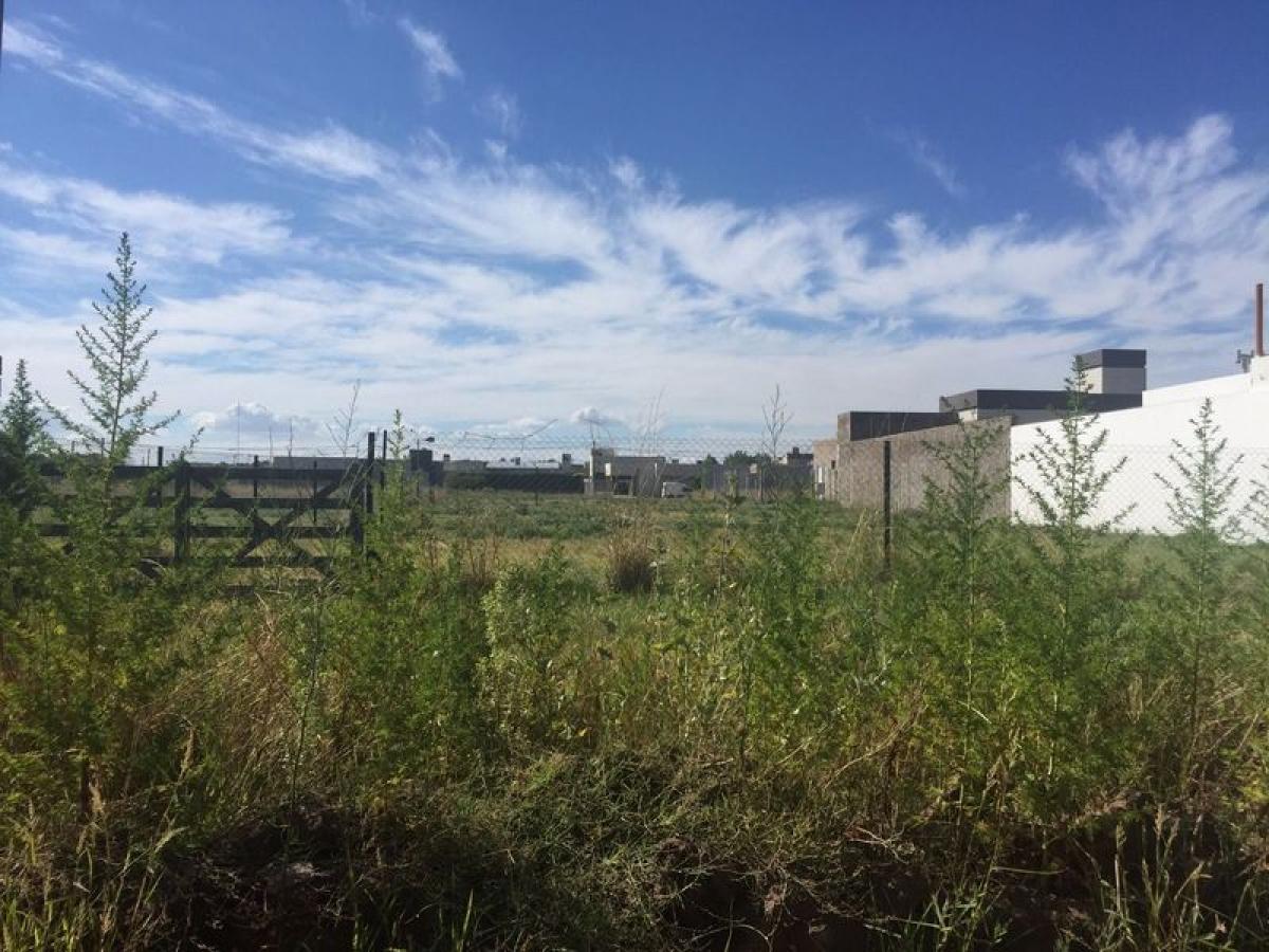  Land in Buenos Aires, Argentina No. 111138