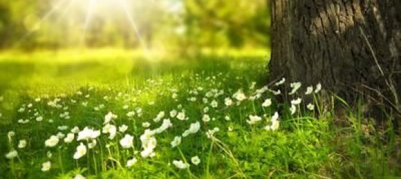 2 bedrooms Land in Echire, France No. 299855 2