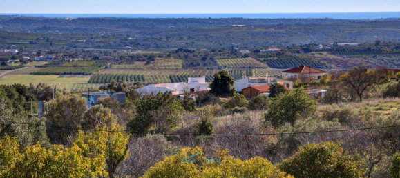 5 bedrooms House in Sao Bartolomeu de Messines, Portugal No. 224280 2