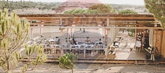 13 bedrooms House in Grandola, Portugal No. 48647 19