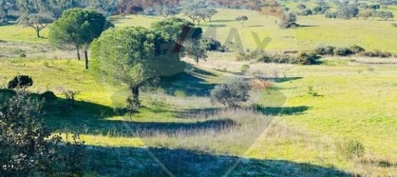 13 bedrooms House in Grandola, Portugal No. 48647 26