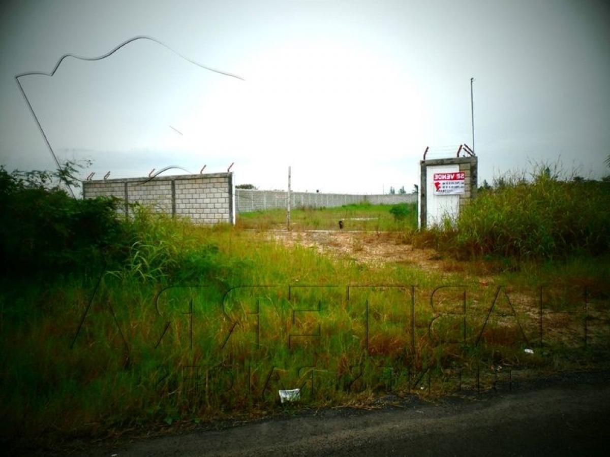  Land in Veracruz, Mexico No. 205537