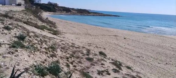 5 rooms Villa in Lizzano, Italy No. 130286 4