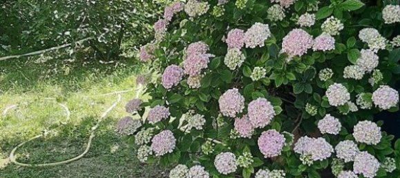 3 rooms House in Gazzola, Italy No. 73768 2