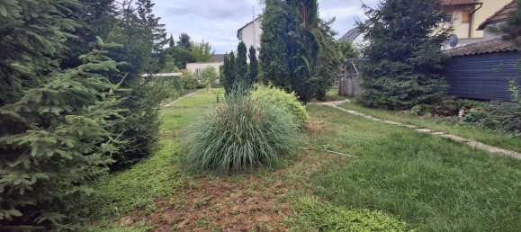 10-Zimmer Bauernhof in Frankenthal, Germany, Nr. 230972 7