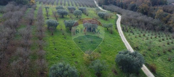 Terrain à Vasanello, Italy 6000m² No. 79366 16