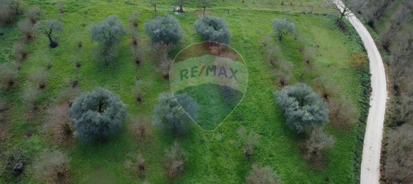 Terrain à Vasanello, Italy 6000m² No. 79366 19