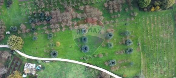 Terrain à Vasanello, Italy 6000m² No. 79366 14