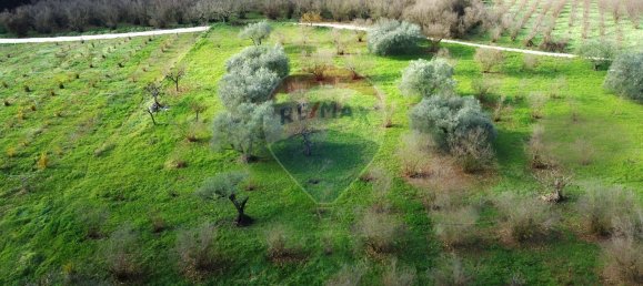 Terrain à Vasanello, Italy 6000m² No. 79366 10