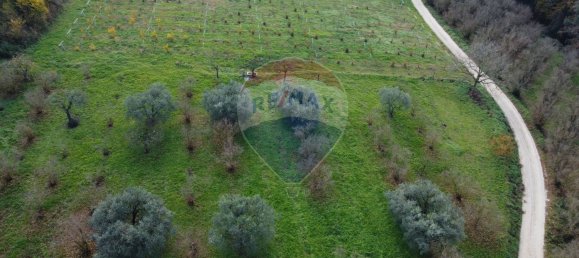 Terrain à Vasanello, Italy 6000m² No. 79366 15