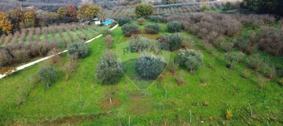 Terrain à Vasanello, Italy 6000m² No. 79366 8