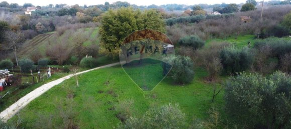 Terrain à Vasanello, Italy 6000m² No. 79366 13