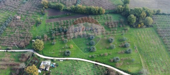 Terrain à Vasanello, Italy 6000m² No. 79366 3