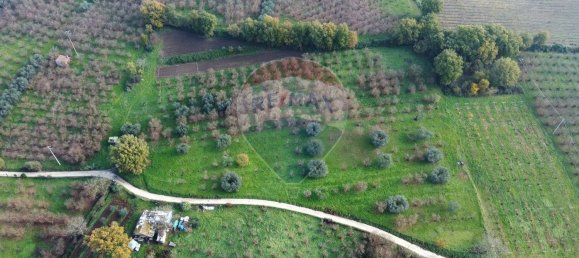 Terrain à Vasanello, Italy 6000m² No. 79366 2