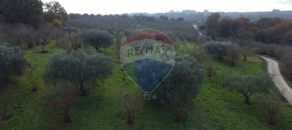 Terrain à Vasanello, Italy 6000m² No. 79366 18