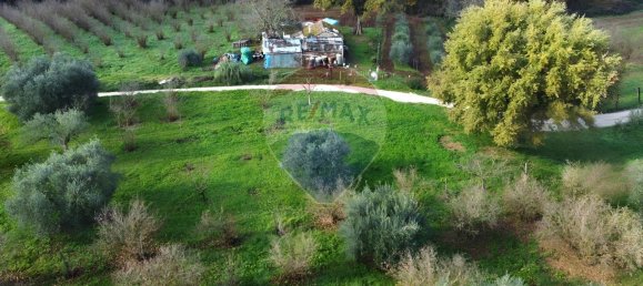 Terrain à Vasanello, Italy 6000m² No. 79366 12