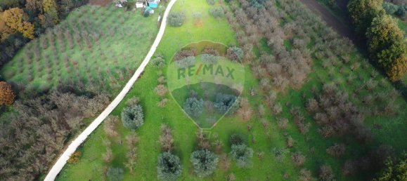 Terrain à Vasanello, Italy 6000m² No. 79366 7