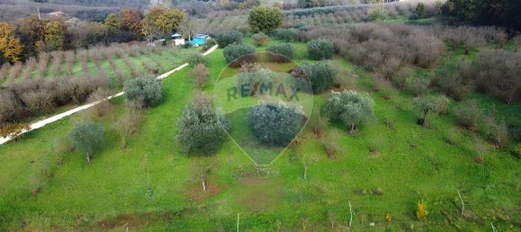 Terrain à Vasanello, Italy 6000m² No. 79366 9