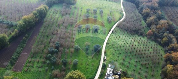 Terrain à Vasanello, Italy 6000m² No. 79366 4