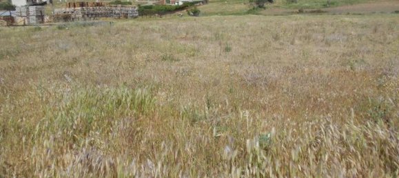 Земельный участок 2259м² в Толедо, Испания № 141642 3