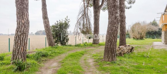 5 rooms House in Cervia, Italy No. 71121 41