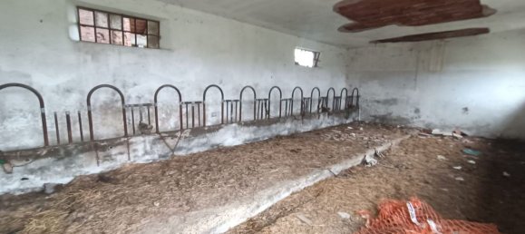 5غرفة منزل في Frascaro, Italy رقم 111401 3