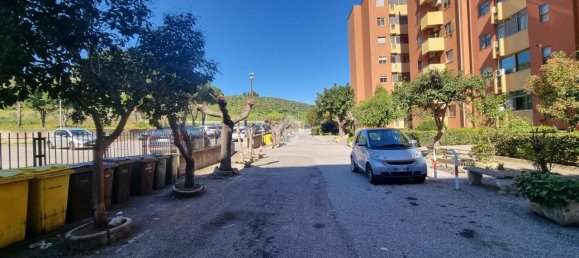 3 rooms Apartment in Catanzaro, Italy No. 156179 7