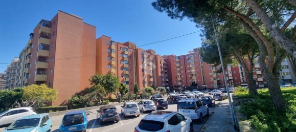 3 rooms Apartment in Catanzaro, Italy No. 156179 2