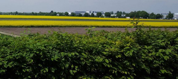 13 rooms Building in Freising, Germany No. 249839 2