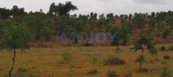 قطعة أرض في Santiago do Cacem, Portugal 31000متر مربع رقم 89753 2