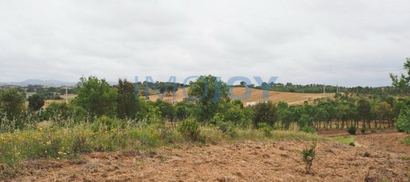 قطعة أرض في Santiago do Cacem, Portugal 31000متر مربع رقم 89753 3