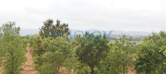 قطعة أرض في Santiago do Cacem, Portugal 31000متر مربع رقم 89753 6