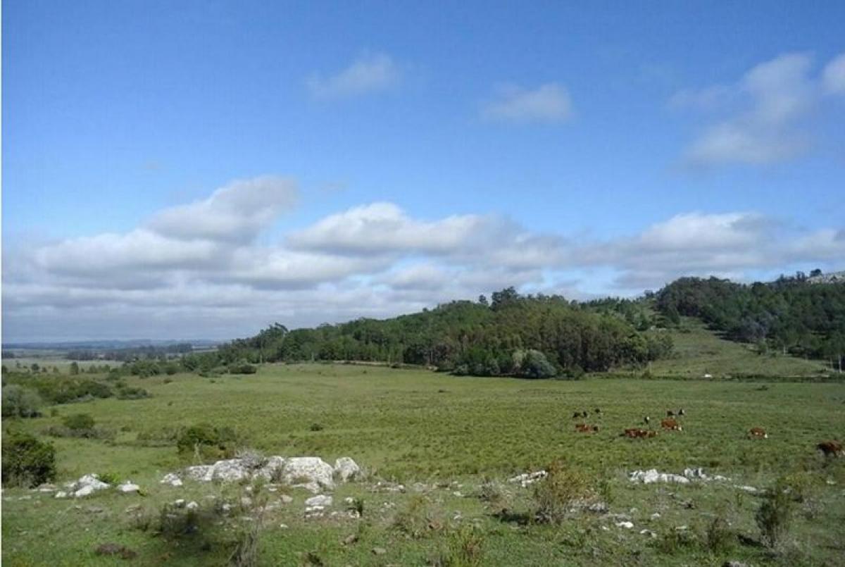 Bauernhof in Maldonado, Uruguay 20m², Nr. 14304