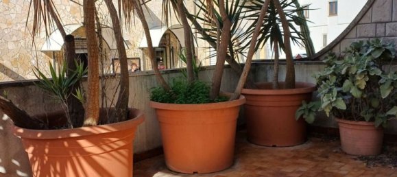 Bâtiment à San Cesario di Lecce, Italy 422m² No. 303617 2