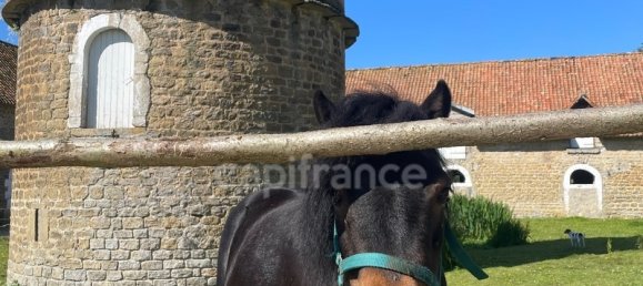 Casa T8 em Hesdin-l'Abbe, France N.º 53641 4