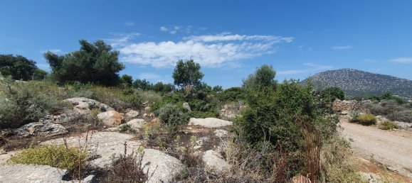 Hotel in Agios Nikolaos, Greece 18977m², Nr. 3141 5