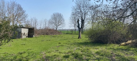 Terreno en Nordsachsen, Germany No. 244117 2