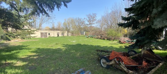 Terreno en Nordsachsen, Germany No. 244117 3