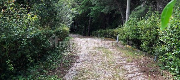 11 chambres Villa à Pesaro, Italy No. 296686 9