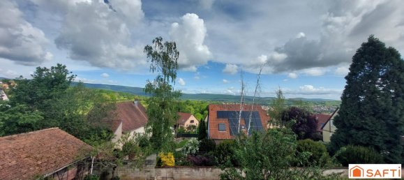 618m² Building in Heiligenberg, France No. 59286 8