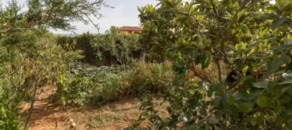 3 bedrooms House in Granada, Spain No. 99845 31