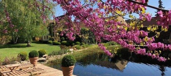 10-Zimmer Schlösser in Großebersdorf, Austria, Nr. 133870 6