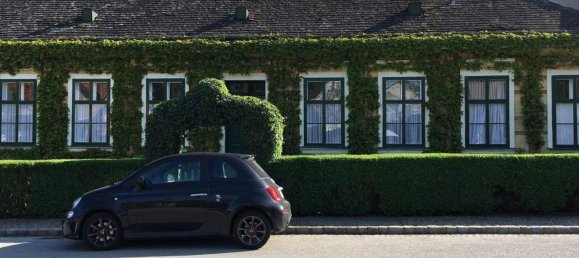 10-Zimmer Schlösser in Großebersdorf, Austria, Nr. 133870 3