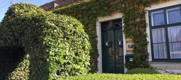 10-Zimmer Schlösser in Großebersdorf, Austria, Nr. 133870 2